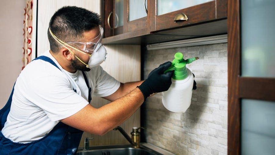 Guardian Pest Control: Ideal Pest Management Company